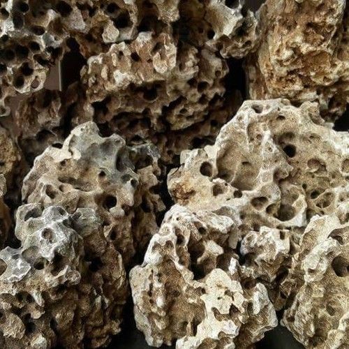CONGO Holey Rocks | 10kg Pack | Aquariums India