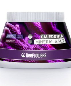ReeFlowers Caledonia Mineral Salt | 500ml