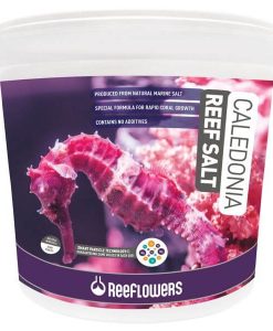 ReeFlowers Caledonia Reef Salt | 6.5kg
