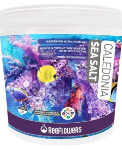 Alternative view of ReeFlowers Marine Starter COMBO Pack