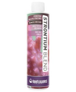 ReeFlowers Strontium Blend