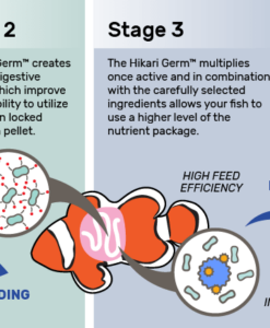 Saki Hikari Germ - Fish