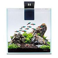 Aquarium Sets