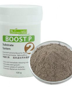 BORNEO WILD Substrate Additive 2 - Boost P