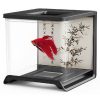 HAILEA Betta Tank