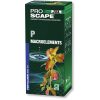 JBL ProScape P | 250ml | Phosphorus Macroelements