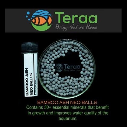 TERAA Bamboo Ash Neo Balls