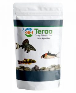TERAA Algae Wafer | 20g