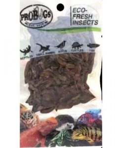 PROBUGS Eco-Fresh Black Soldier Fly Larvae