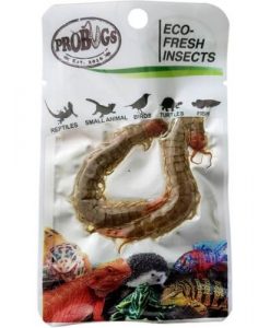 PROBUGS Eco-Fresh Centipedes