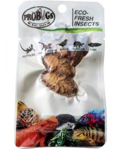 PROBUGS Eco-Fresh Dubia Roaches