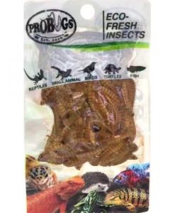 PROBUGS Eco-Fresh Mealworm