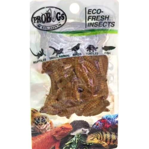 PROBUGS Eco-Fresh Mealworm