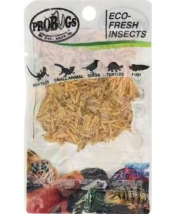 PROBUGS Eco-Fresh Rice Worms