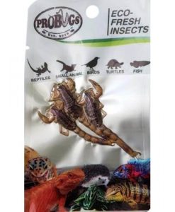 PROBUGS Eco-Fresh Scorpions
