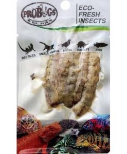 PROBUGS Eco-Fresh Silkworm