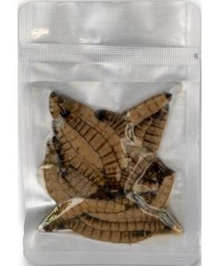 PROBUGS Eco-Fresh Superworm