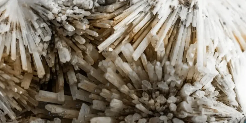 Aquarium Filter Media