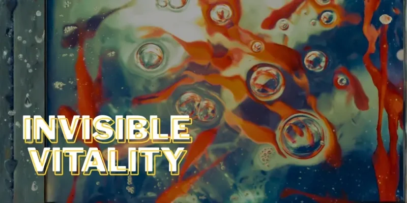 How to manually oxygenate an aquarium