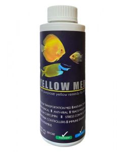 AQUATIC REMEDIES Yellow Med | 200ml