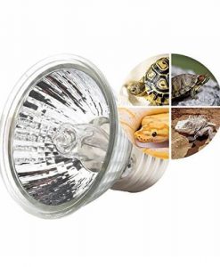 AQUATIC VENTUREZ Turtle UVA+UVB Lamp | 50w