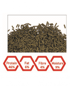 Alternative view of WA Arowana Nutri Sticks | 500ml - 200g