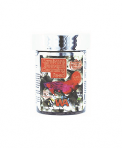 WA Carnivore Stomach Cleansing Feed | 100ml - 45g