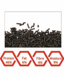 Alternative view of WA Carnivore Stomach Cleansing Feed | 100ml - 45g