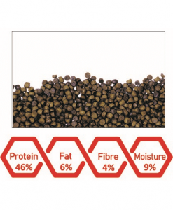 Alternative view of WA Flowerhorn Stomach Cleansing Feed | 100ml - 45g