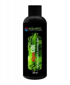 AQUATIC VENTUREZ Algaecide | 120ml