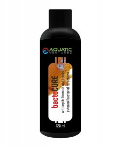AQUATIC VENTUREZ Bacto Cure | 120ml