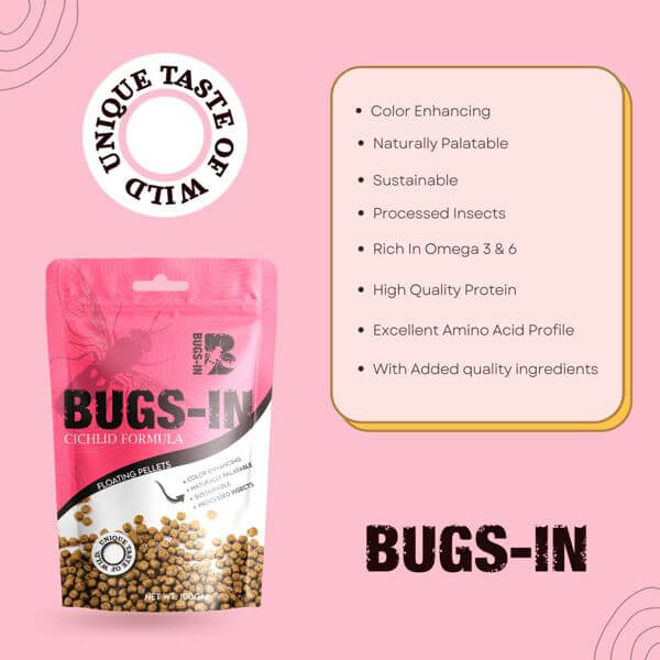 BUGS-IN Cichlid Formula | 100g - Image 2