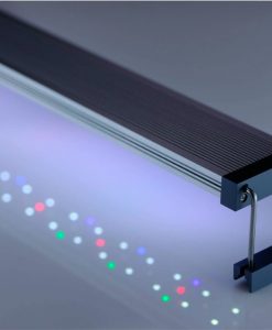 Alternative view of TWINSTAR Fish LED B-Line Series | 30B