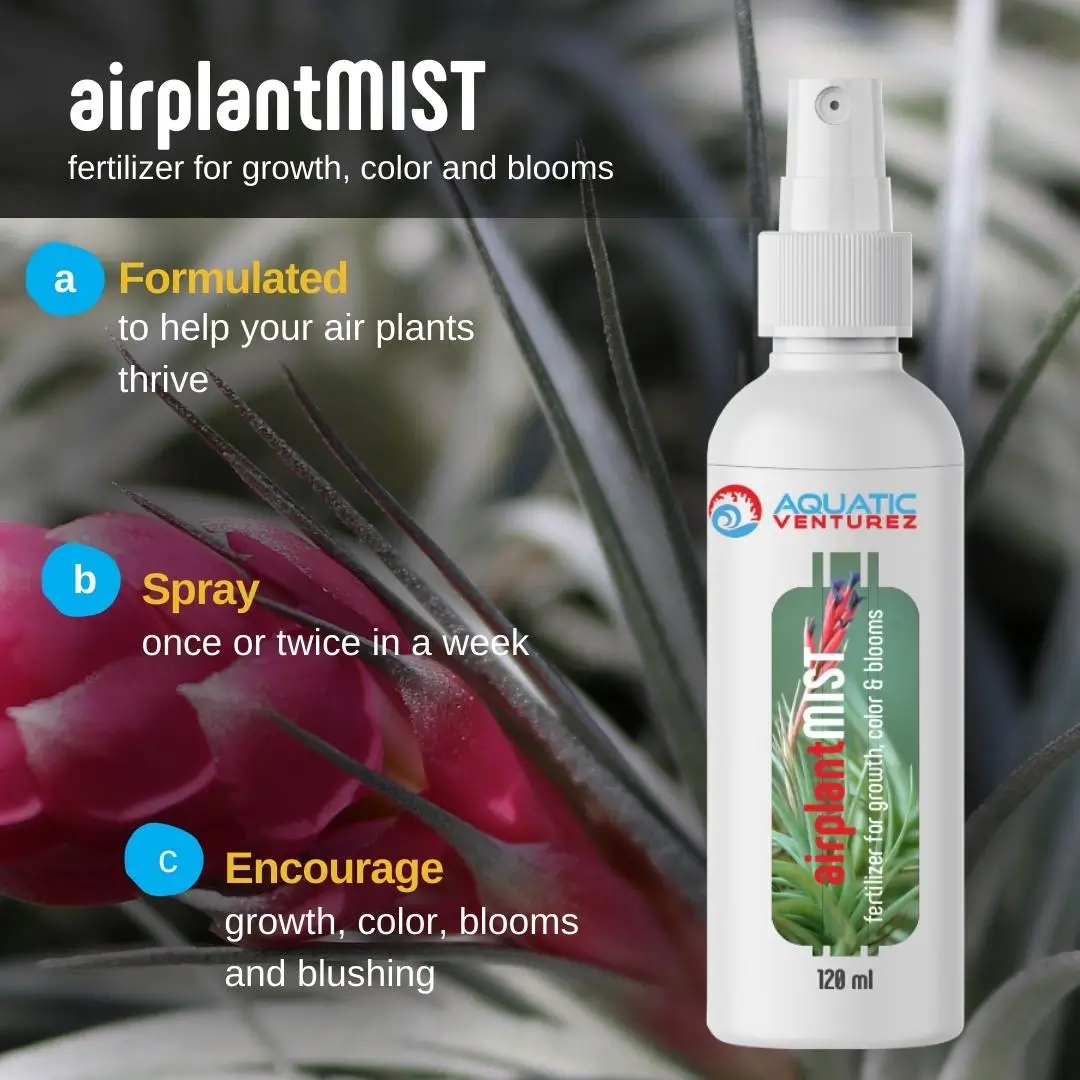 Aquatic Venturez Air Plant Mist