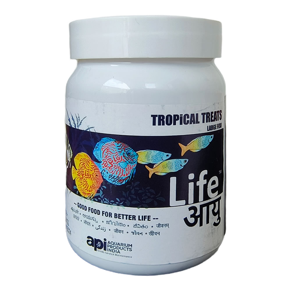 API Tropical Treats for Large Fish Food 70g