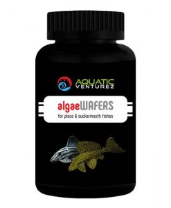 AQUATIC VENTUREZ Algae Wafers | 30g