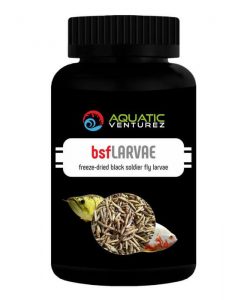 AQUATIC VENTUREZ Black Soldier Fly Larvae | 45g