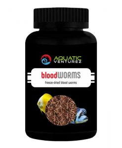 AQUATIC VENTUREZ Blood Worms | 20g
