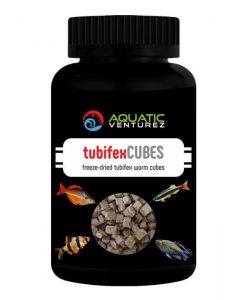 AQUATIC VENTUREZ Tubifex Cubes | 30g