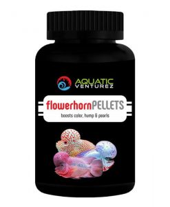 AQUATIC VENTUREZ Flowerhorn Pellets | 100g