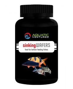 AQUATIC VENTUREZ Sinking Wafers | 30g