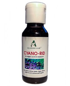 AquaVascular Cyano-Rid | 50ml