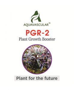 AquaVascular PGR2 | 30ml