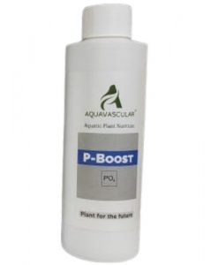 AquaVascular Phosphorus P Boost | 250ml