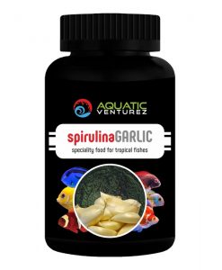 AQUATIC VENTUREZ Spirulina Garlic | 100g