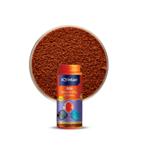 INTAN Bits | 45g - Image 4