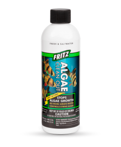 Fritz Algae Clean Out