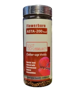 WA Flowerhorn Asta 2000 Feed new