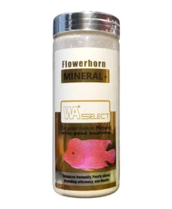 WA Select Flowerhorn Mineral