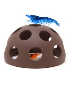 Alternative view of Aquavitro Shrimp Dome